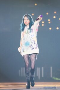 IU Lee Ji-eun Road to stardom