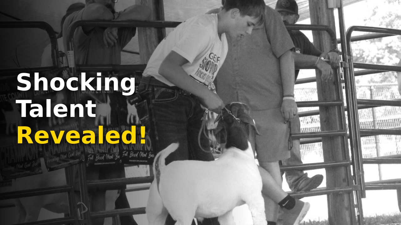 Goat Show