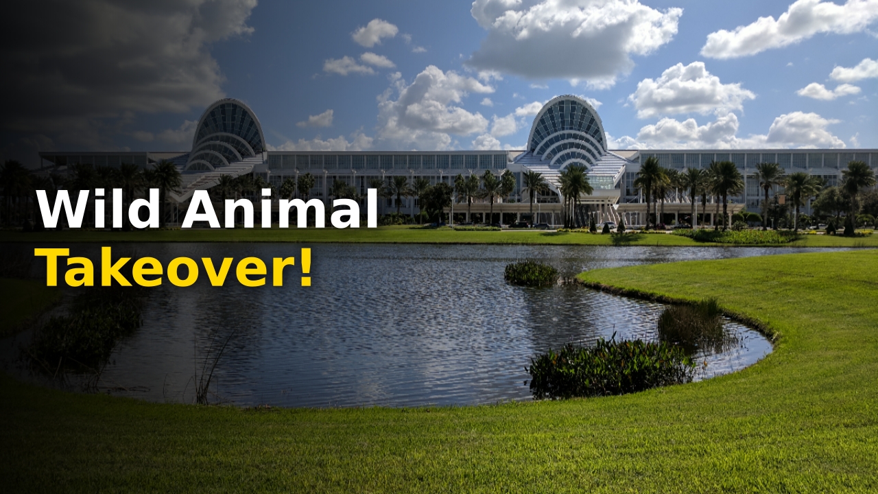 Orlando Expo