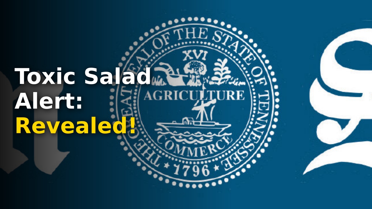 salad safety