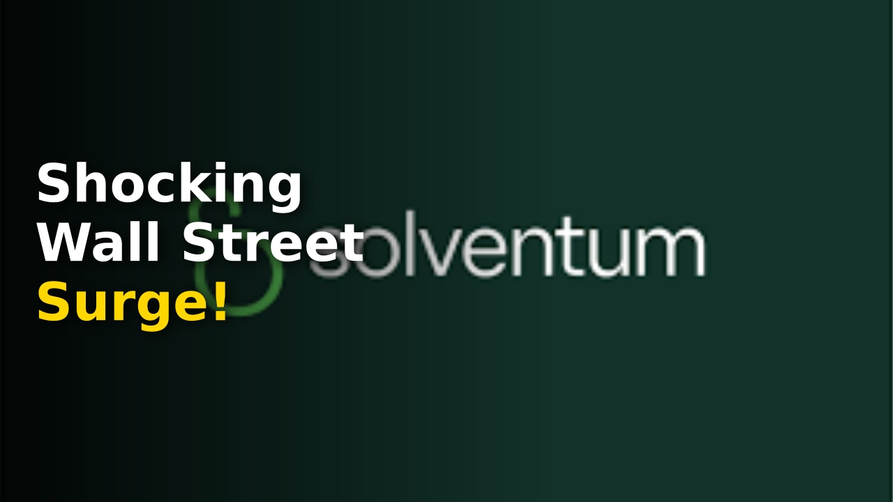 Solventum Earnings