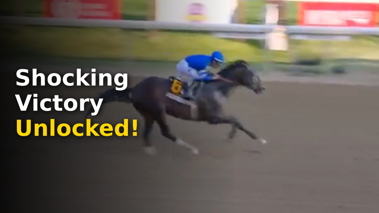 Sovereignty horse