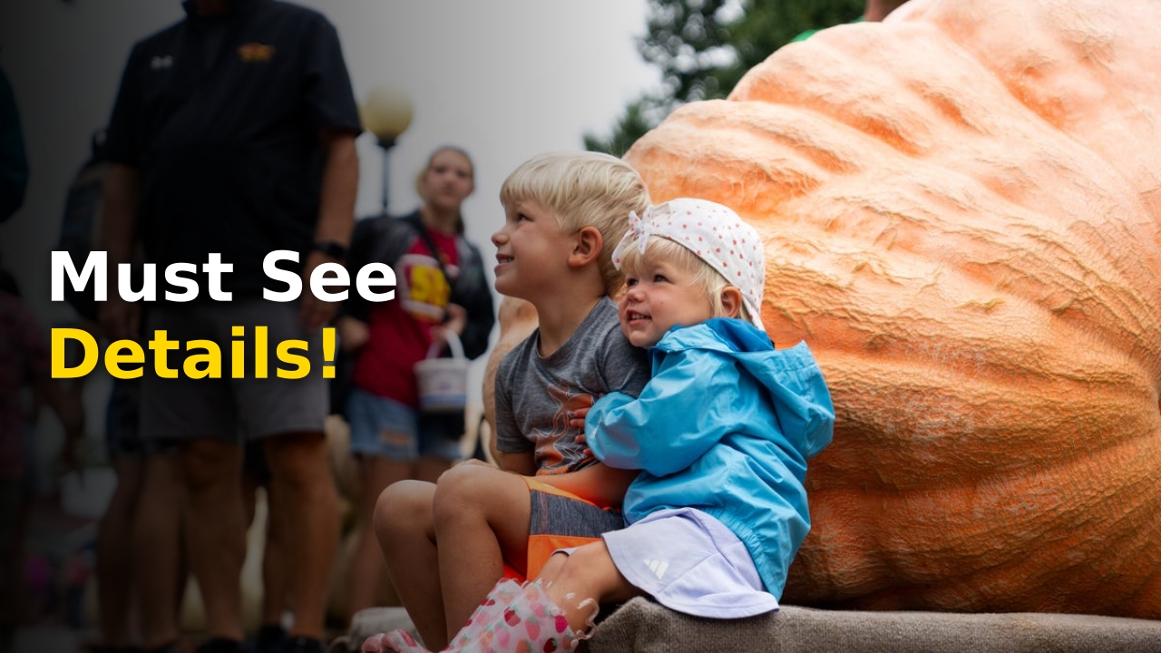 State Fair
