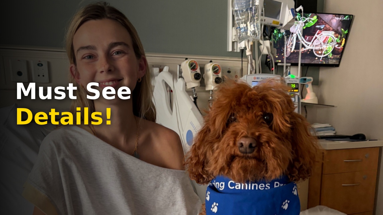 Sydney Towle, content creator who documented life with cancer, dies at 26