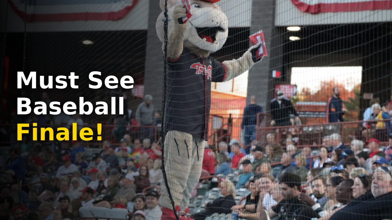 ValleyCats homestand