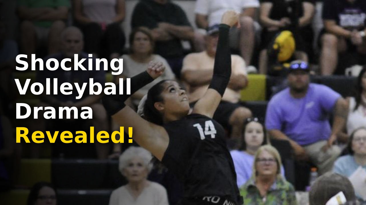 volleyball roundup