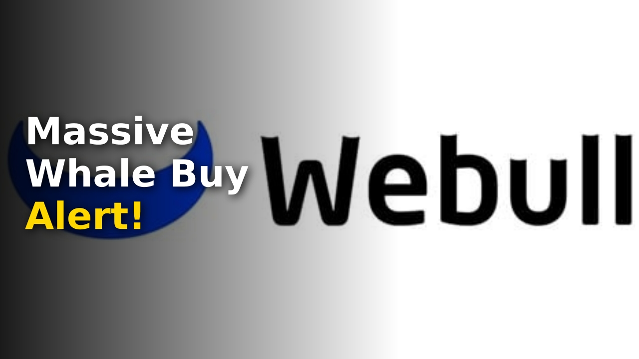 Webull stock
