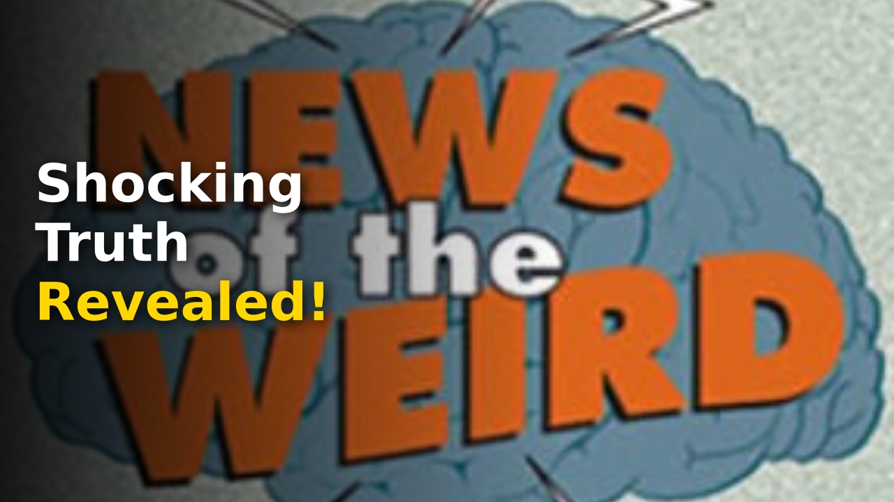 weird news
