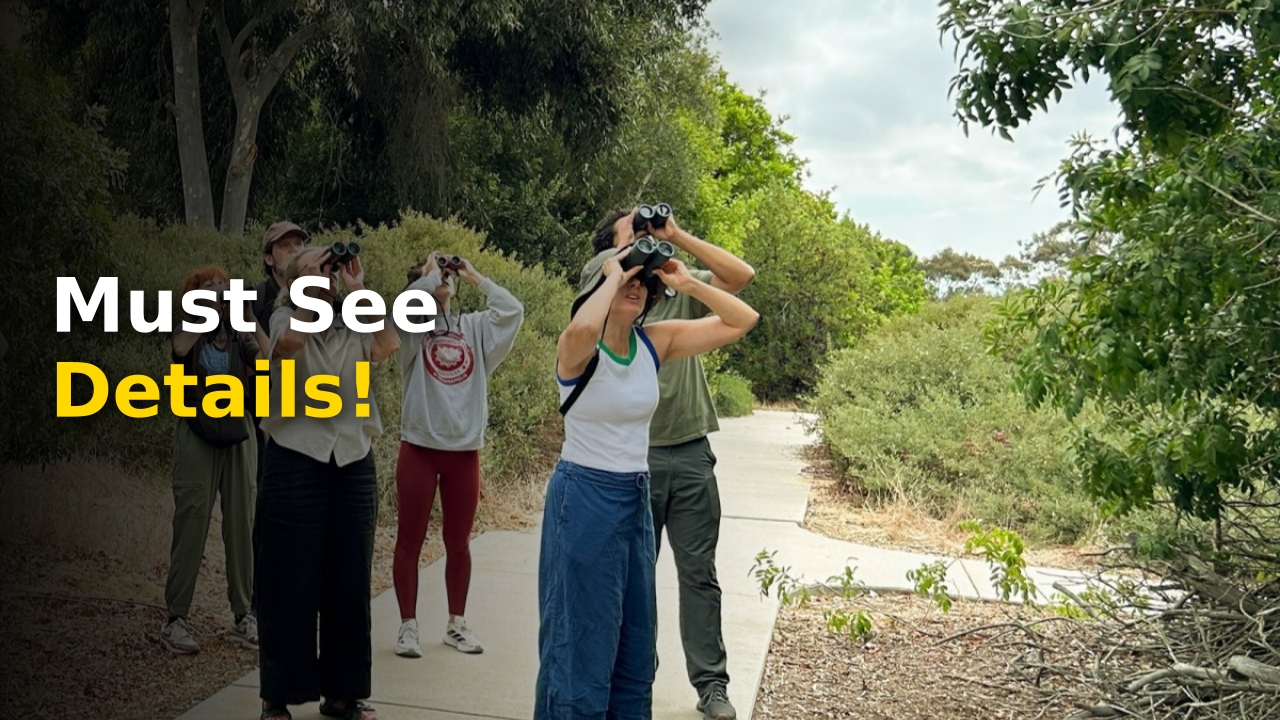 The official promotional poster for the Black-billed Cuckoo play at La Jolla Playhouse