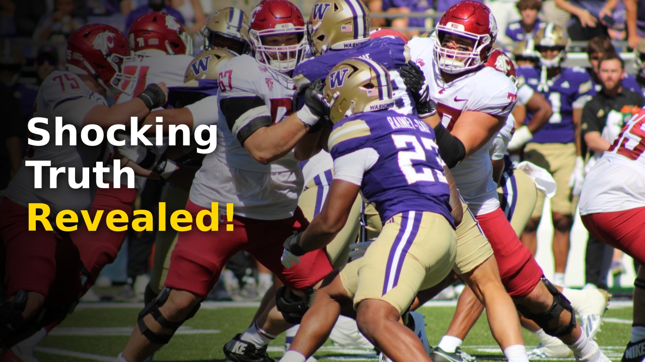 The WSU Cougars on the field during the Apple Cup 2024 results clash