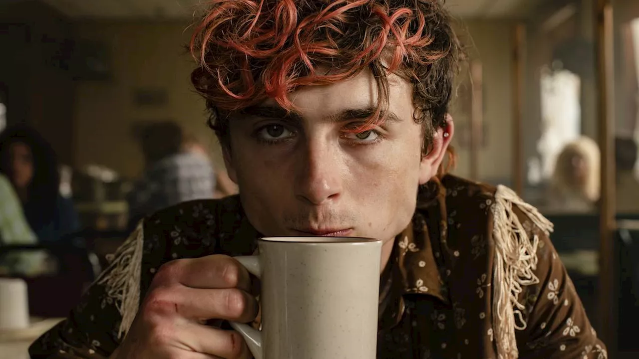 Timothée Chalamet net worth analysis for 2026 entertainment industry