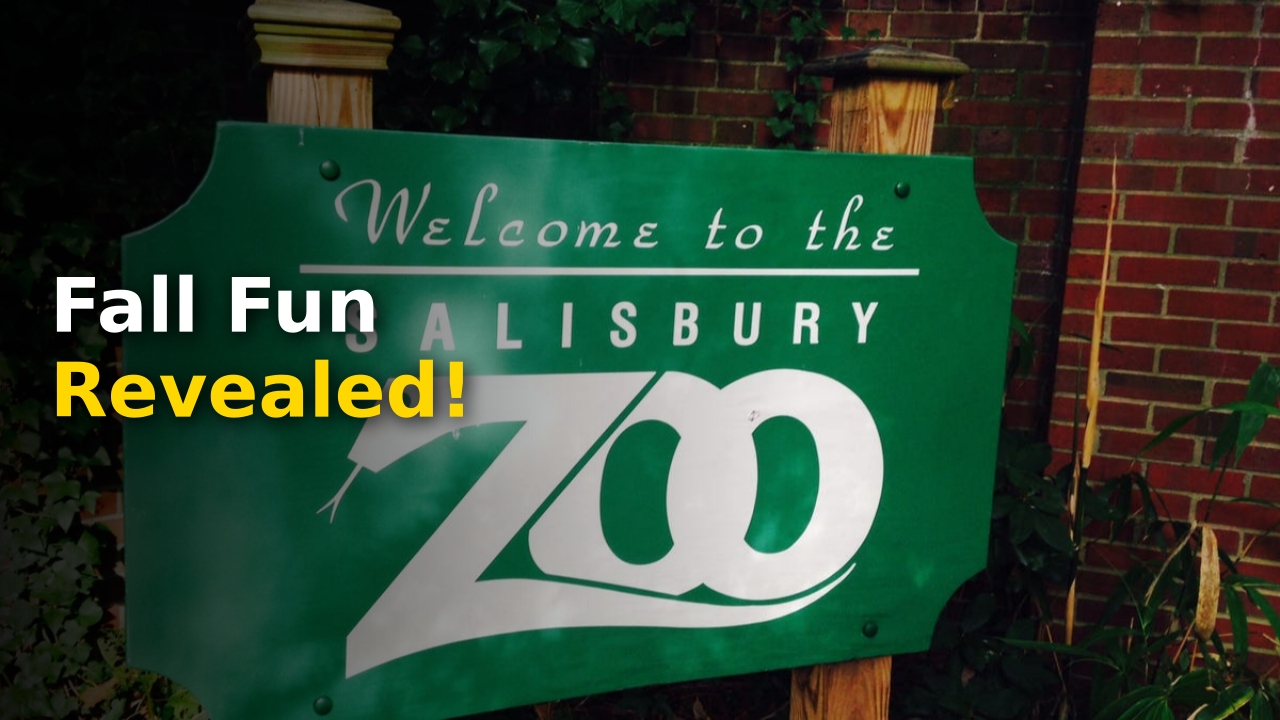 Crowd enjoying Salisbury Zoo fall events with seasonal decorations