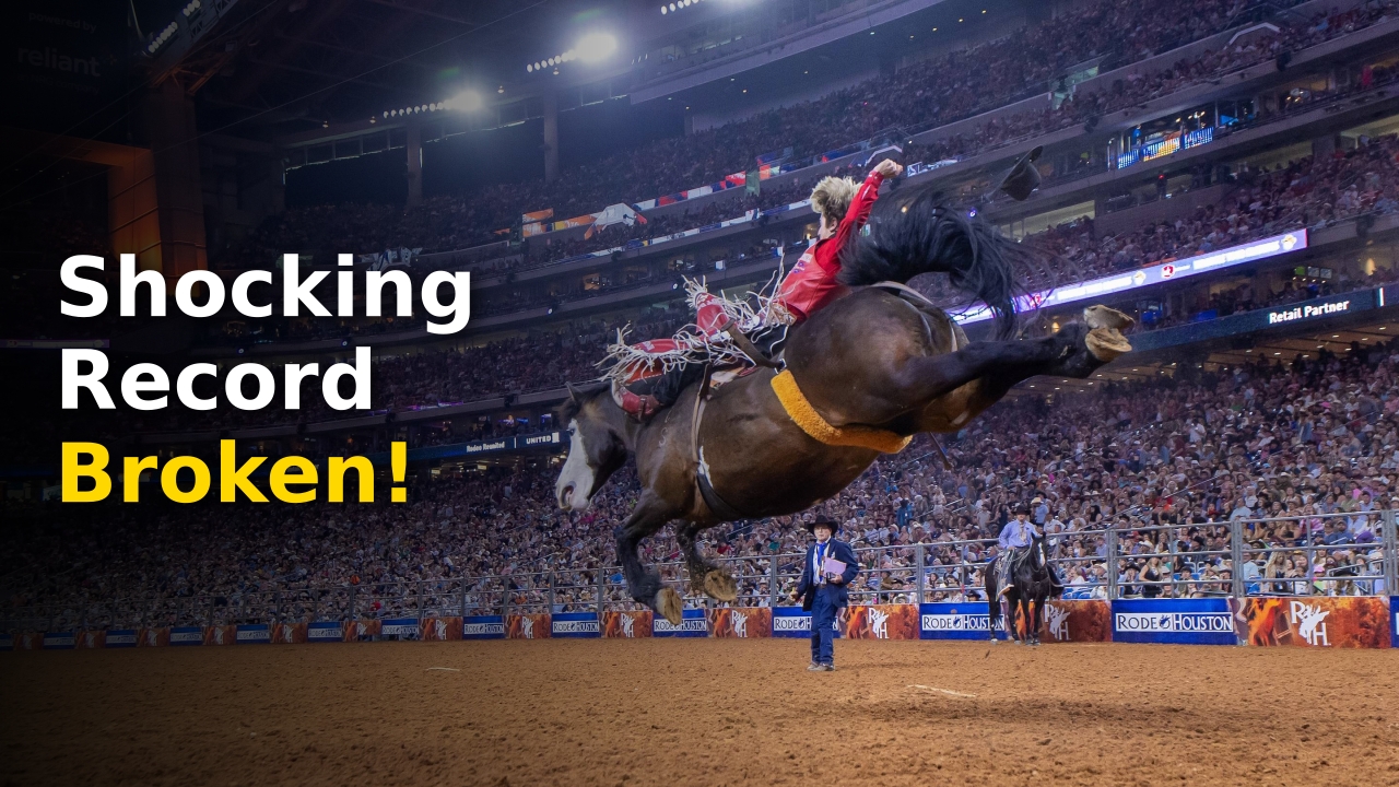 The award-winning Calgary Stampede Disco Party horse performing in a professional rodeo